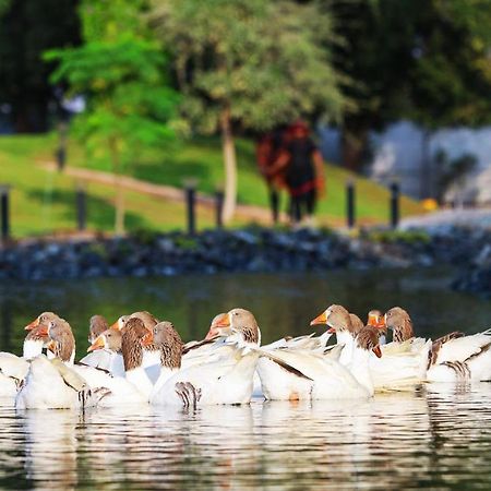 Nirvana Retreat Digdaga Экстерьер фото